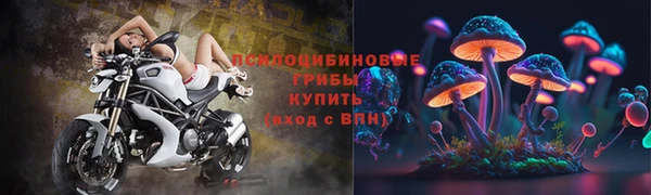 прущие крисы Арсеньев