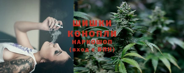 крисы Покров