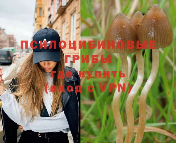 прущий лед Армянск