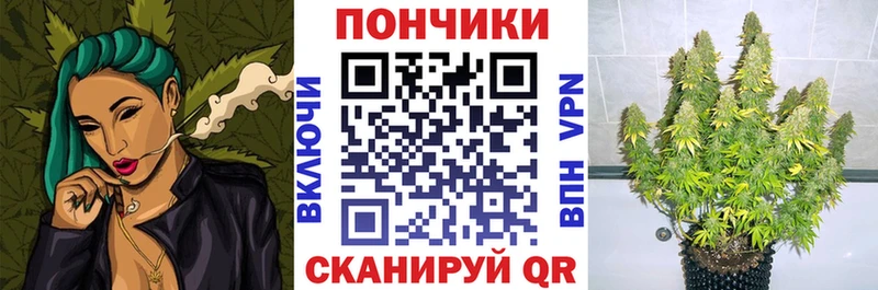 цены   Покров  мега зеркало  Канабис White Widow 